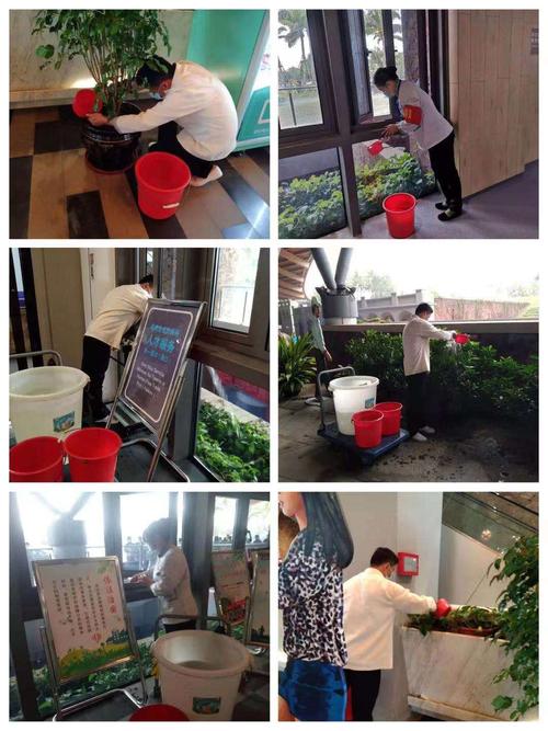 保洁员浇水养护大堂室内盆栽绿植及清理底盘积水.